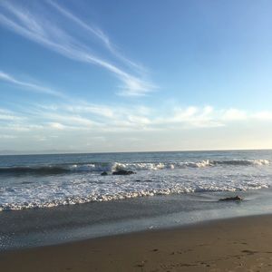 Meet your Posher, Nina